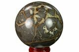2.5" Polished Septarian Sphere - Utah - #167613-1